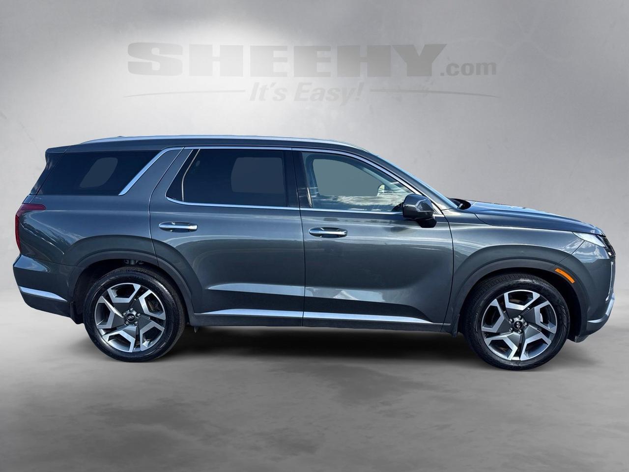 2025 Hyundai Palisade SEL Premium Chantilly VA