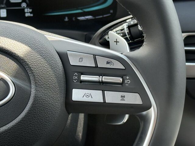 2025 Hyundai Palisade XRT San Clemente CA