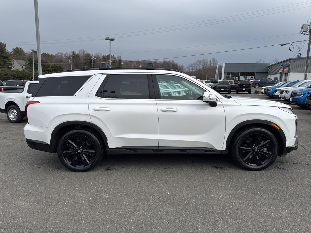 2025 Hyundai Palisade XRT Warrenton VA