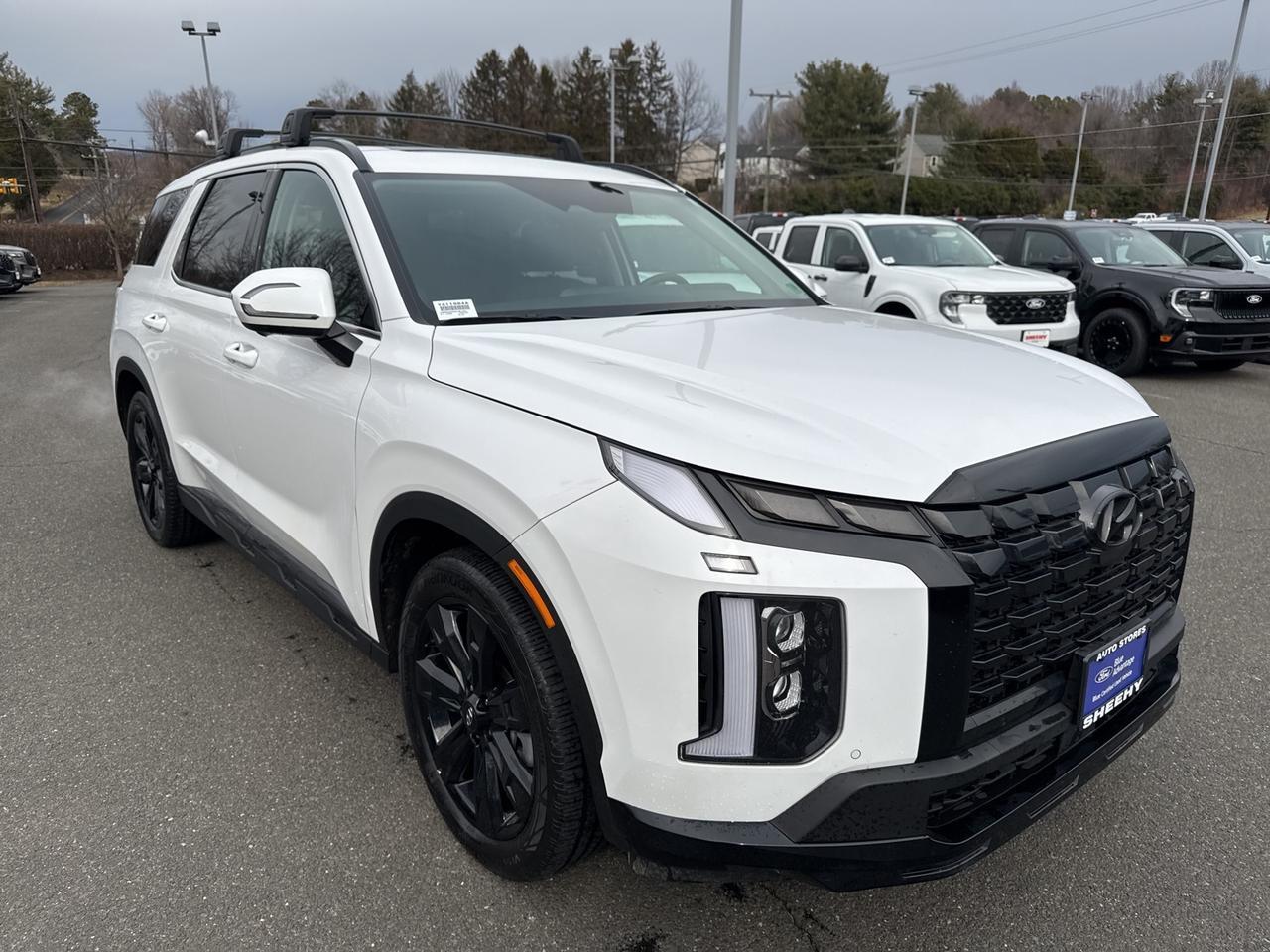 2025 Hyundai Palisade XRT