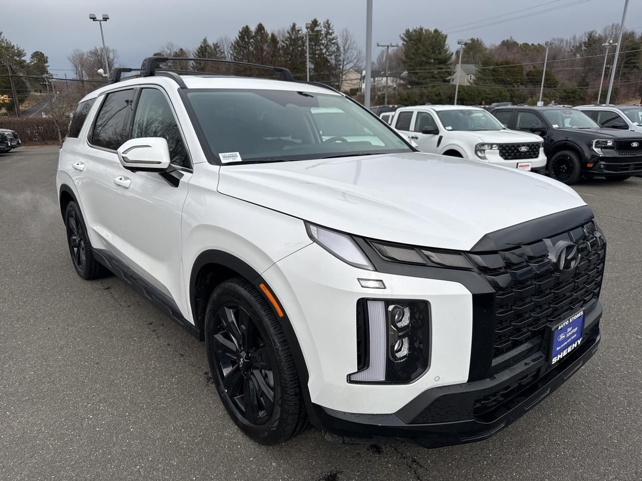 2025 Hyundai Palisade XRT Warrenton VA