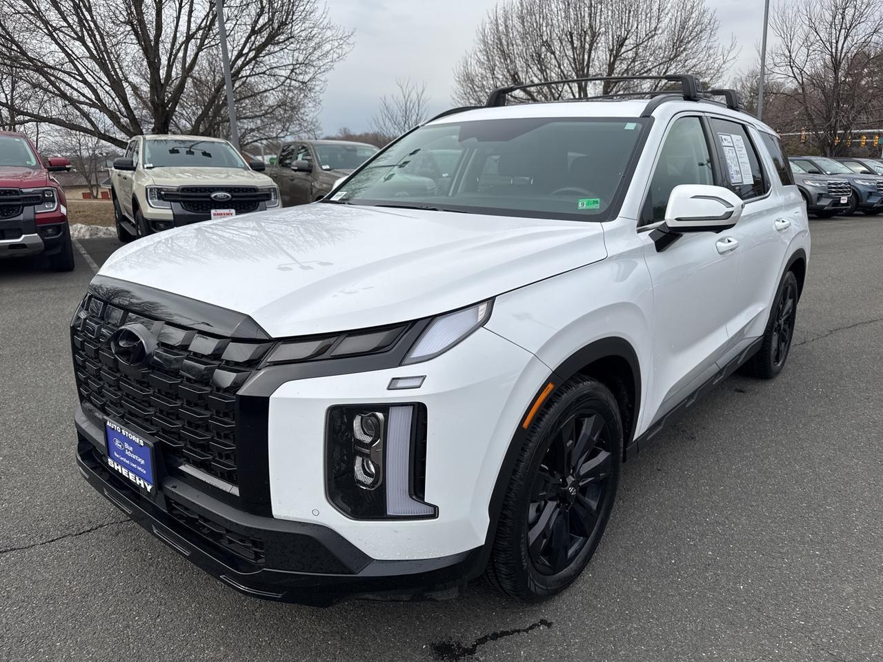 2025 Hyundai Palisade XRT Warrenton VA