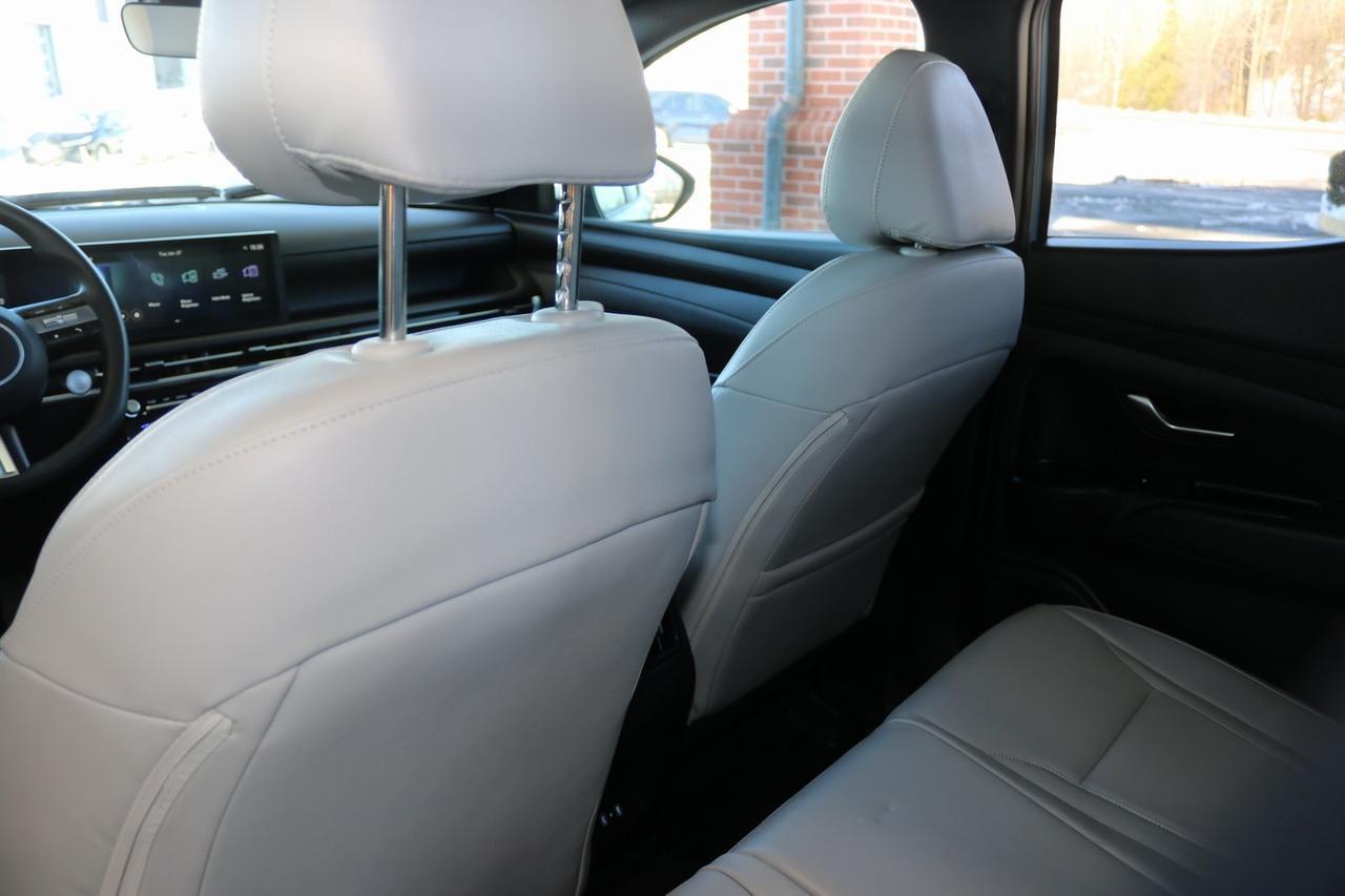 2025 Hyundai Santa Cruz SEL Fredericksburg VA