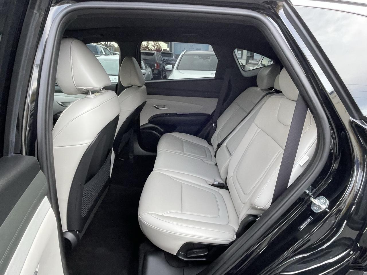 2025 Hyundai Tucson Limited Alexandria VA