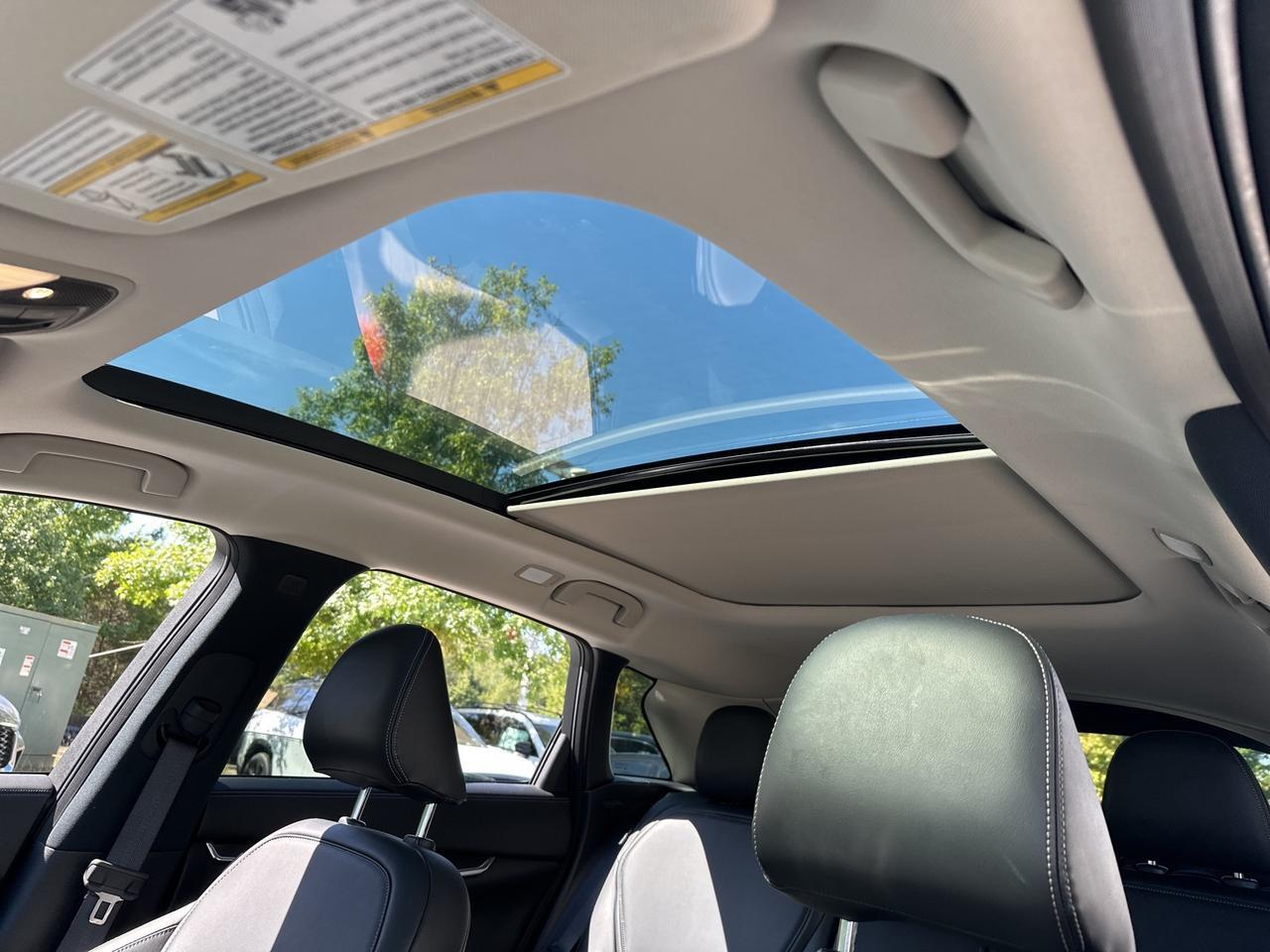 2025 INFINITI QX50 LUXE Chantilly VA