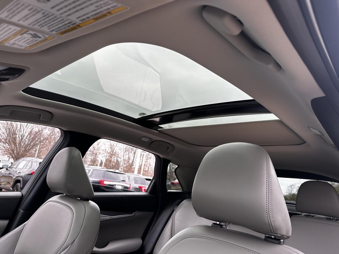 2025 INFINITI QX50 LUXE Chantilly VA