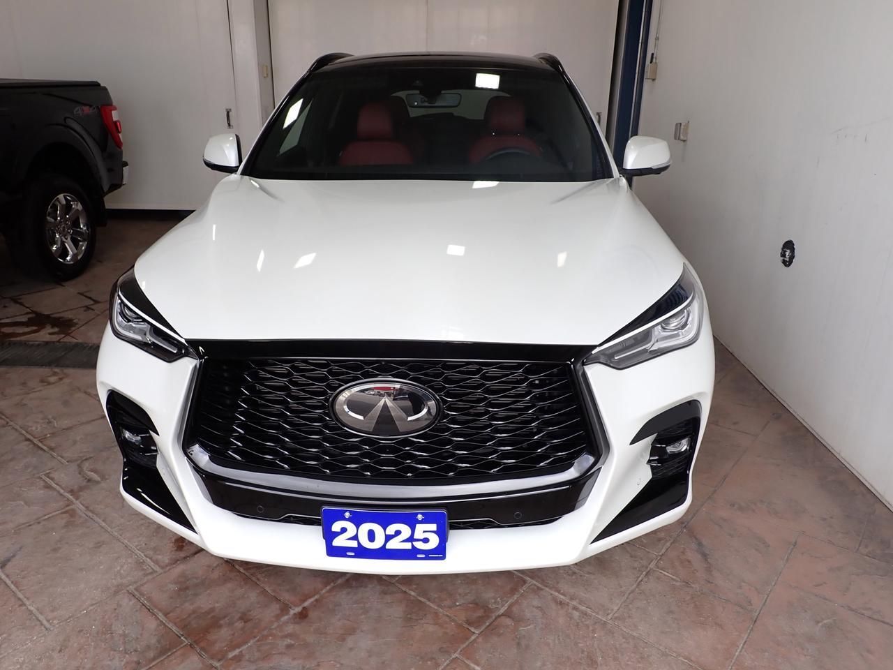 2025 INFINITI QX50 SPORT AWD LEATHER NAVI SUNROOF Listowel ON