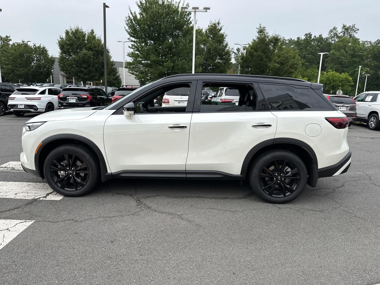 2025 INFINITI QX60 LUXE Chantilly VA
