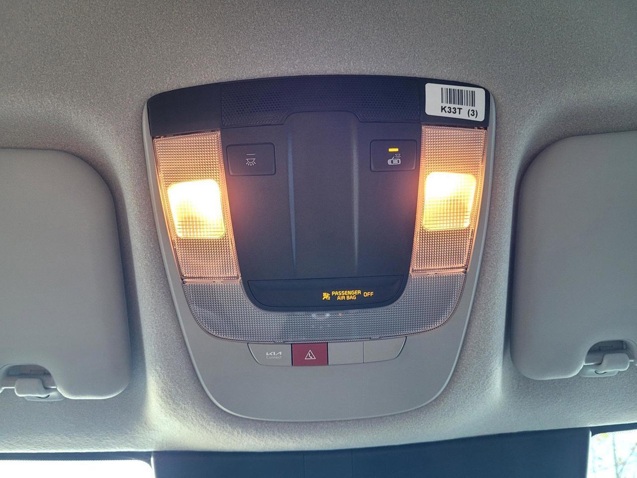 2025 KIA NIRO EV WIND Roseville CA