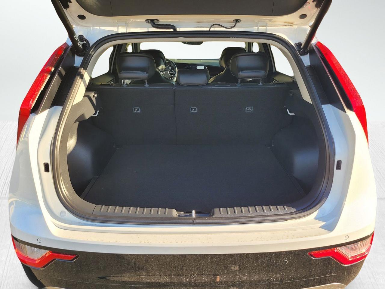 2025 KIA NIRO EV WIND Roseville CA