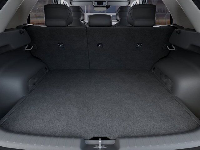 2025 KIA NIRO EV WIND Roseville CA