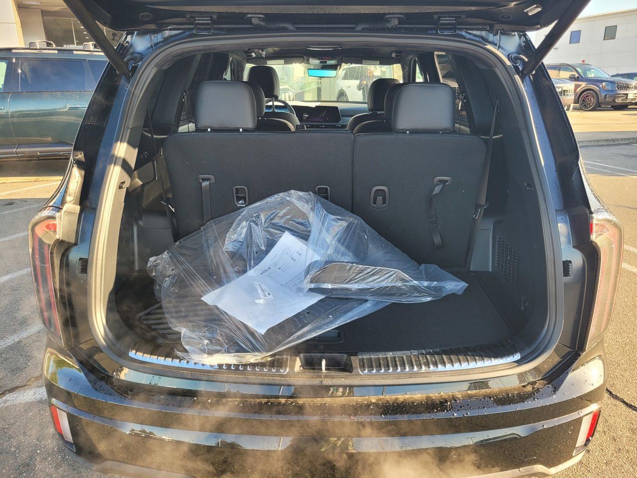 2025 KIA TELLURIDE SX-PRESTIGE X-LINE Roseville CA