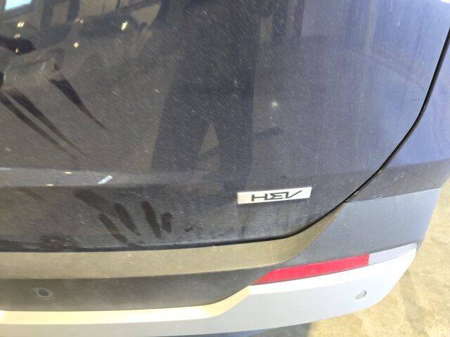 2025 Kia Carnival Hybrid EX St. Augustine FL