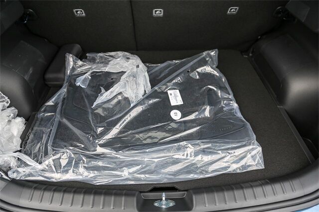 2025 Kia Niro EV Wave Renton WA