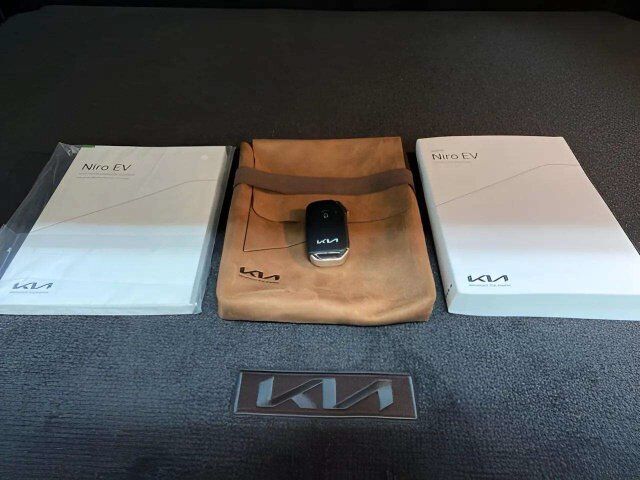 2025 Kia Niro EV Wind Dallas TX
