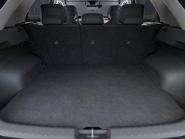2025 Kia Niro EV Wind Tucson AZ