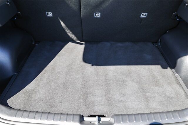 2025 Kia Niro EV Wind Tacoma WA