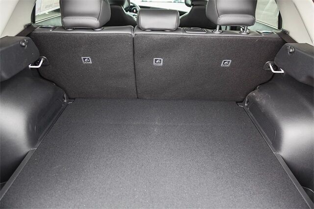2025 Kia Niro EV Wind Tacoma WA