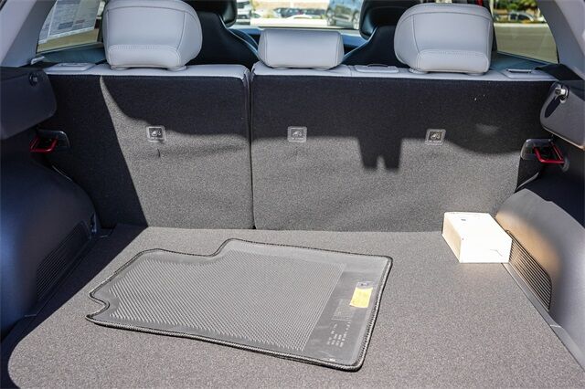 2025 Kia Niro EX photo 4