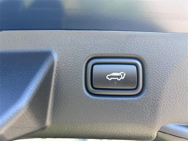 2025 Kia Seltos EX Cape Girardeau MO