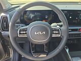 2025 Kia Sorento Hybrid EX Oshkosh WI 2025 Kia Sorento Hybrid EX Oshkosh WI