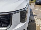 2025 Kia Sorento X-Line SX Oshkosh WI