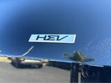2025 Kia Sportage Hybrid LX San Diego County CA