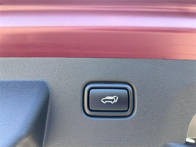 2025 Kia Sportage X-Line Cape Girardeau MO