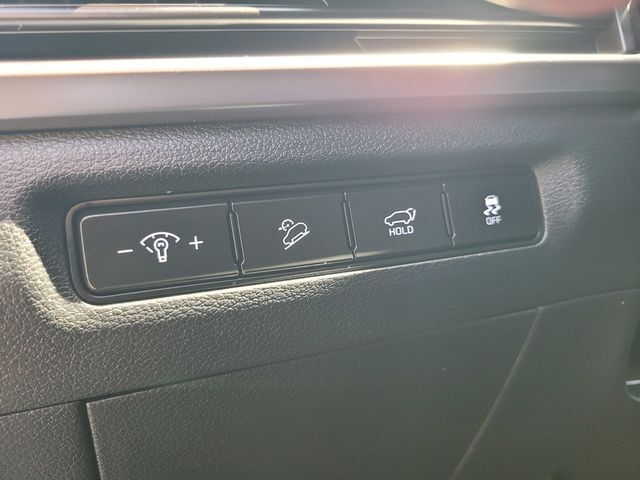2025 Kia Telluride EX Folsom CA
