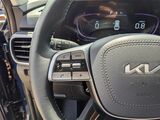 2025 Kia Telluride EX Oshkosh WI