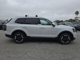 2025 Kia Telluride EX Oshkosh WI
