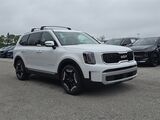 2025 Kia Telluride EX Oshkosh WI