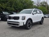 2025 Kia Telluride EX Oshkosh WI