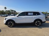 2025 Kia Telluride EX Oshkosh WI