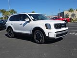 2025 Kia Telluride EX Oshkosh WI