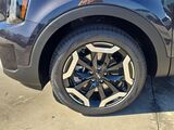 2025 Kia Telluride EX Oshkosh WI