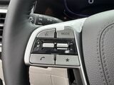 2025 Kia Telluride EX Oshkosh WI