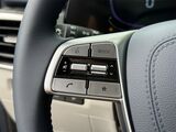 2025 Kia Telluride EX Oshkosh WI