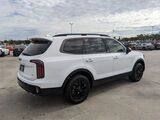 2025 Kia Telluride EX Oshkosh WI