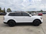 2025 Kia Telluride EX Oshkosh WI