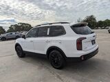 2025 Kia Telluride EX Oshkosh WI