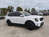 2025 Kia Telluride EX Oshkosh WI