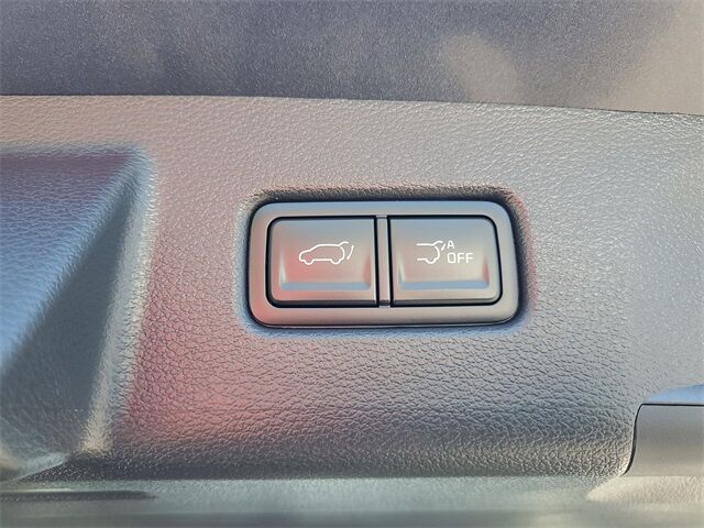 2025 Kia Telluride EX St. Augustine FL