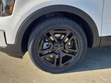 2025 Kia Telluride EX X-Line Oshkosh WI