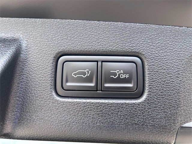 2025 Kia Telluride EX X-Pro Cape Girardeau MO