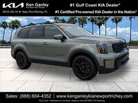 2025 Kia Telluride EX X-Pro