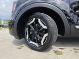2025 Kia Telluride S Oshkosh WI