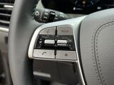 2025 Kia Telluride SX Oshkosh WI