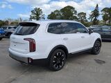 2025 Kia Telluride SX-Prestige Oshkosh WI