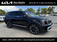 2025 Kia Telluride SX-Prestige